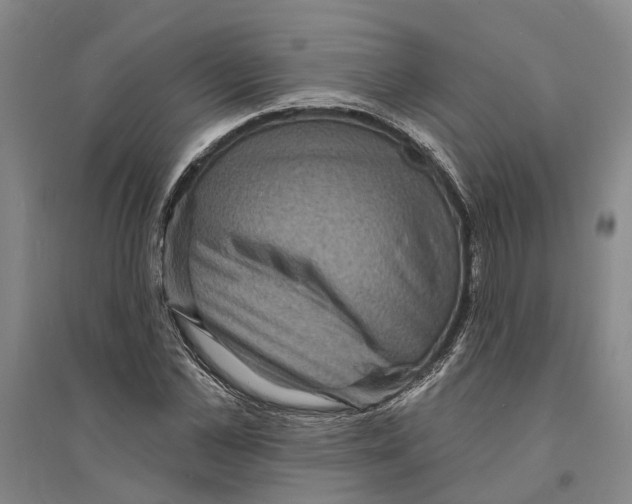 X0000094070973200711161543