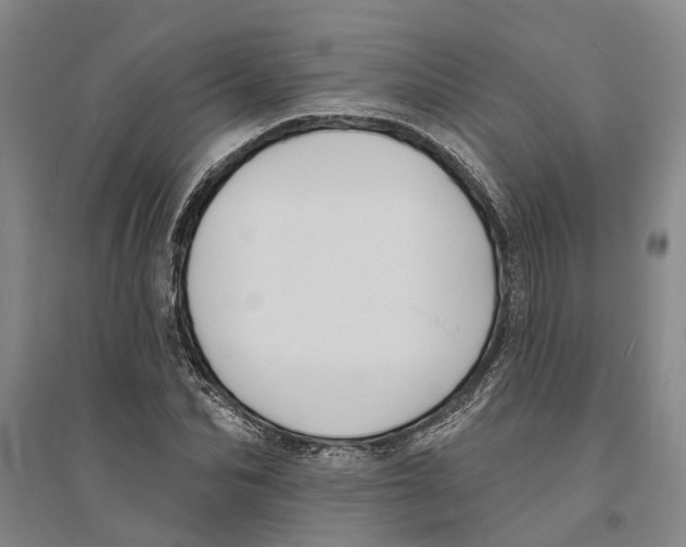 X0000094070974200711161543
