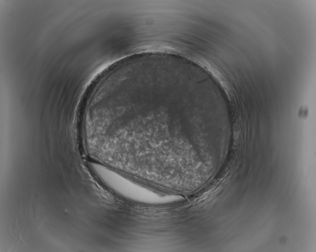 X0000094070975200711161543