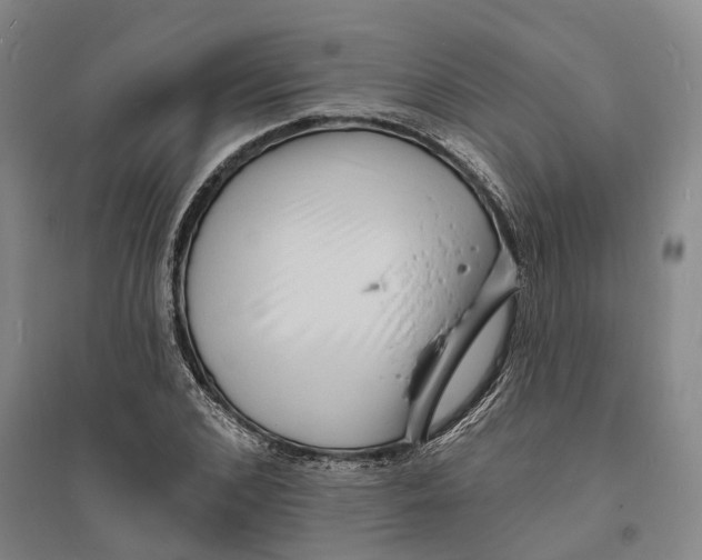 X0000094070976200711161543