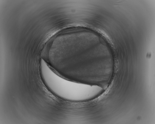 X0000094070977200711161543