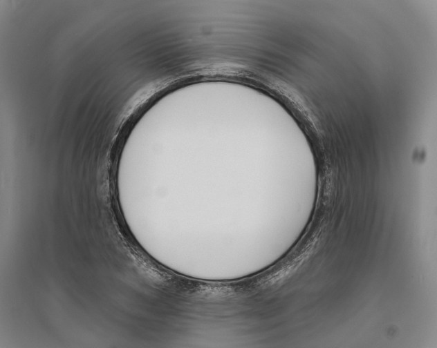 X0000094070978200711161543