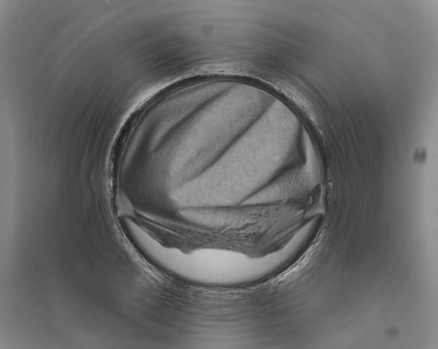X0000094070981200711161543