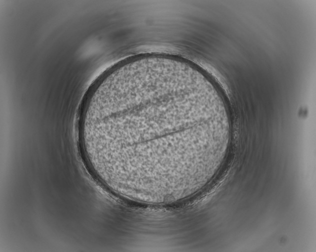 X0000094070983200711161543