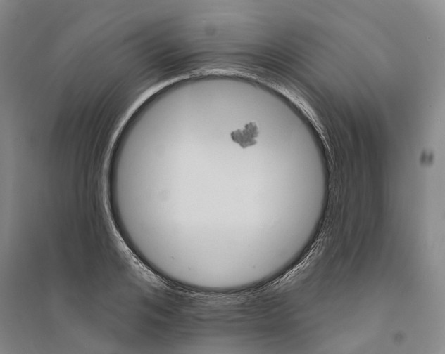 X0000094070984200711161543