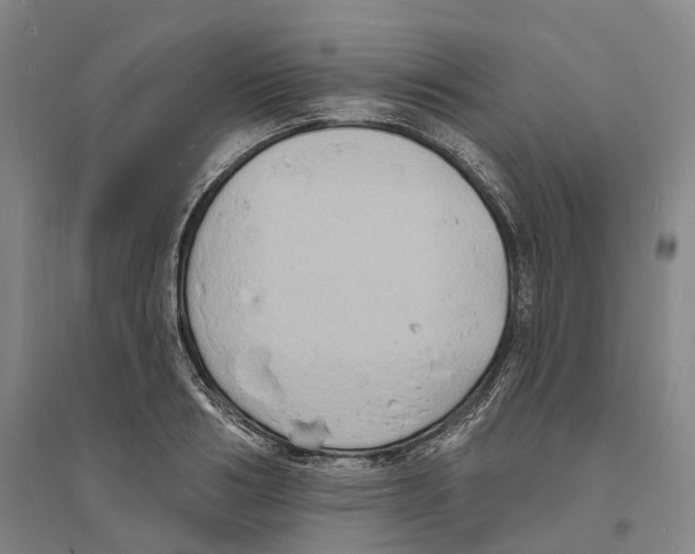 X0000094070986200711161543