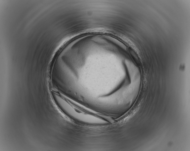 X0000094070989200711161543