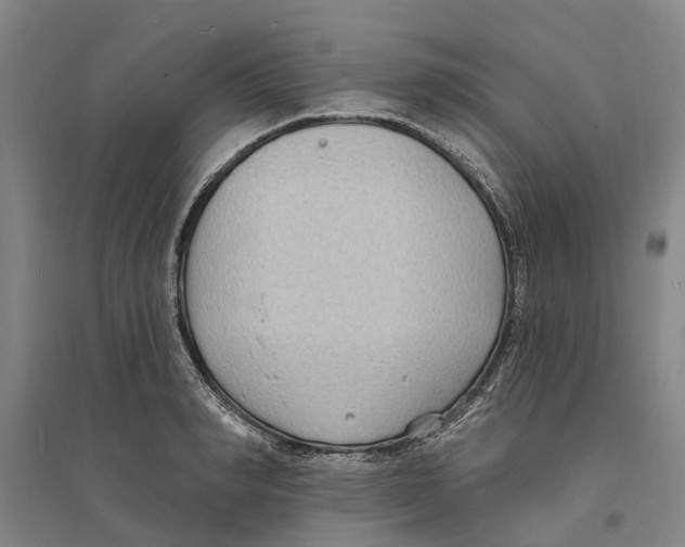 X0000094070990200711161543
