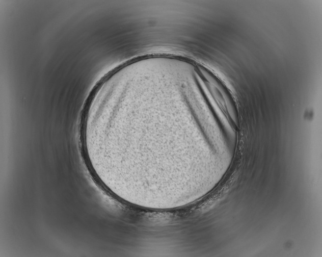 X0000094070991200711161543