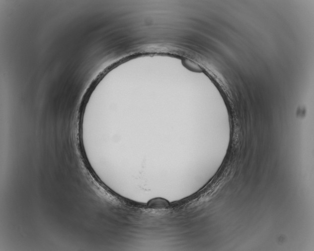 X0000094070992200711161543