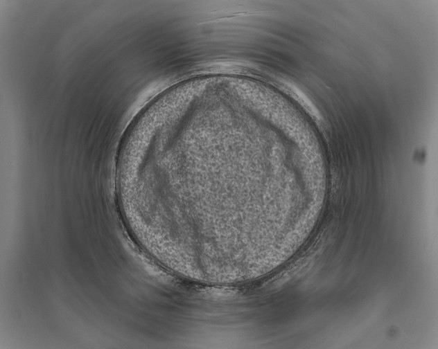 X0000094070994200711161543