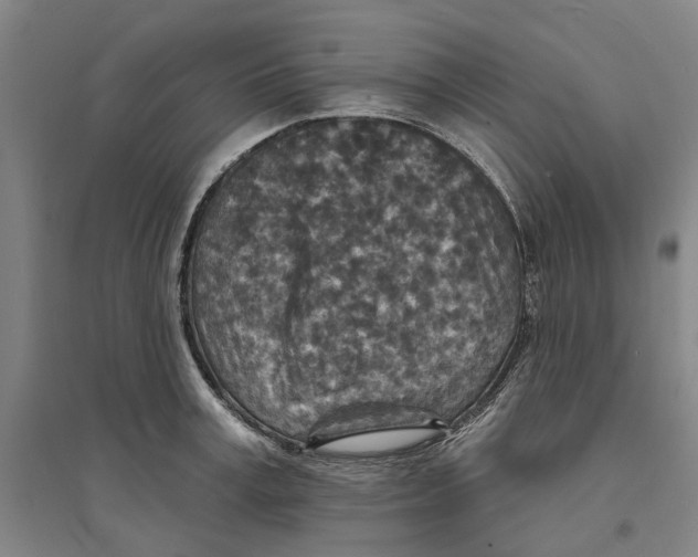 X0000094070995200711161543