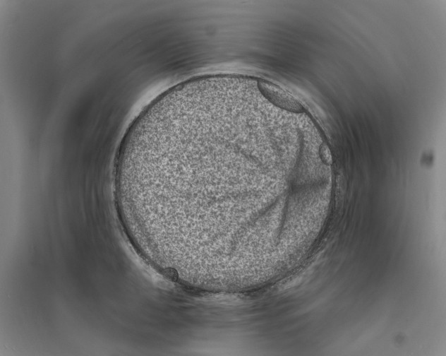 X0000094070998200711161543