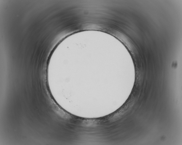 X0000094071000200711161543