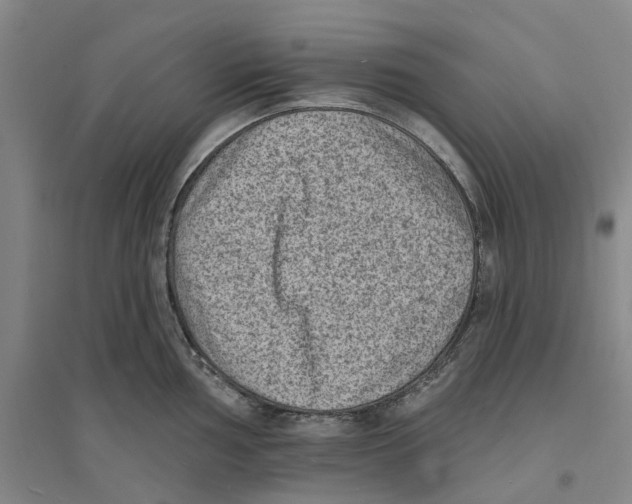 X0000094071002200711161543