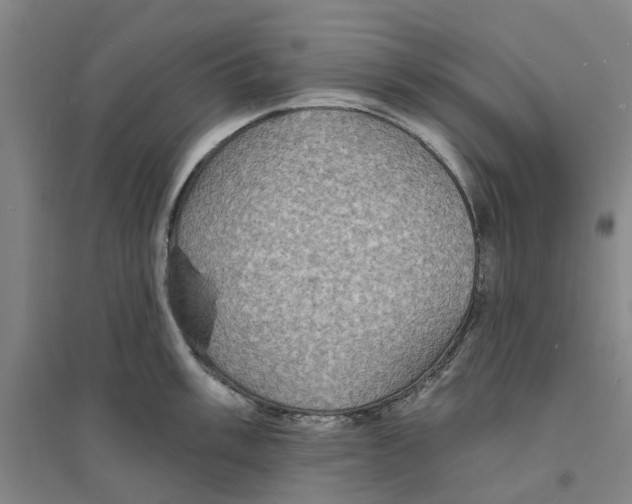 X0000094071003200711161543
