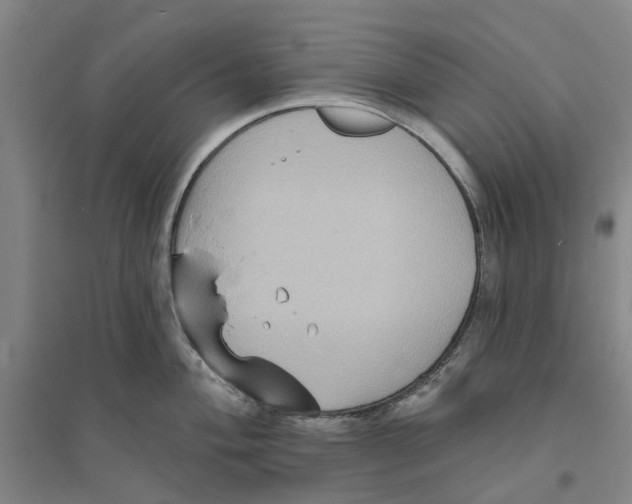 X0000094071004200711161543
