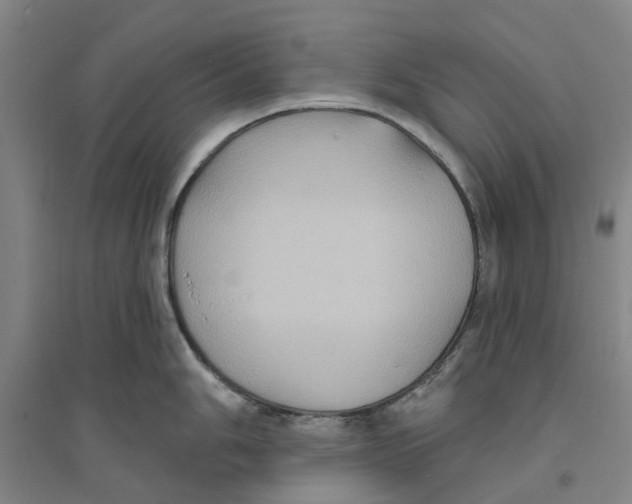 X0000094071006200711161543