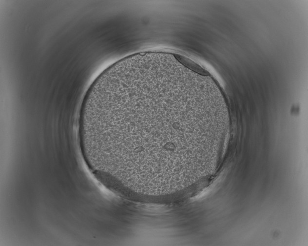 X0000094071007200711161543