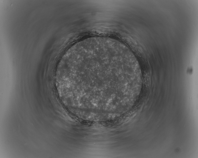 X0000094071009200711161542