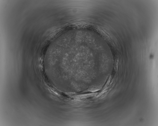 X0000094071010200711161542