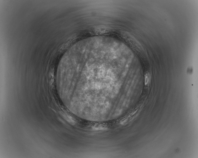 X0000094071011200711161542
