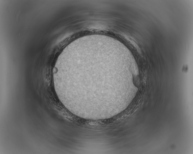 X0000094071015200711161542
