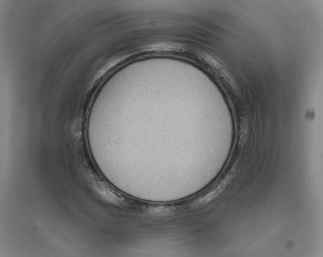 X0000094071017200711161542