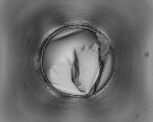 X0000094071018200711161542