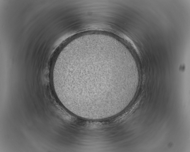 X0000094071019200711161542