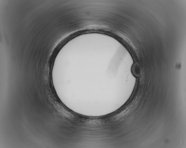 X0000094071021200711161542