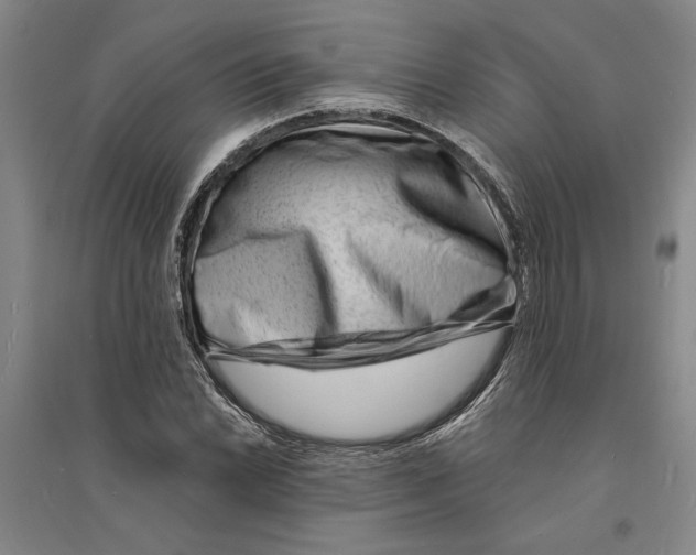 X0000094071022200711161542
