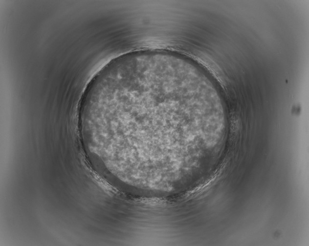 X0000094071023200711161542