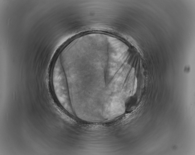 X0000094071024200711161542