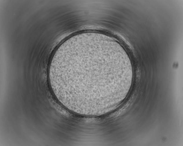 X0000094071025200711161542