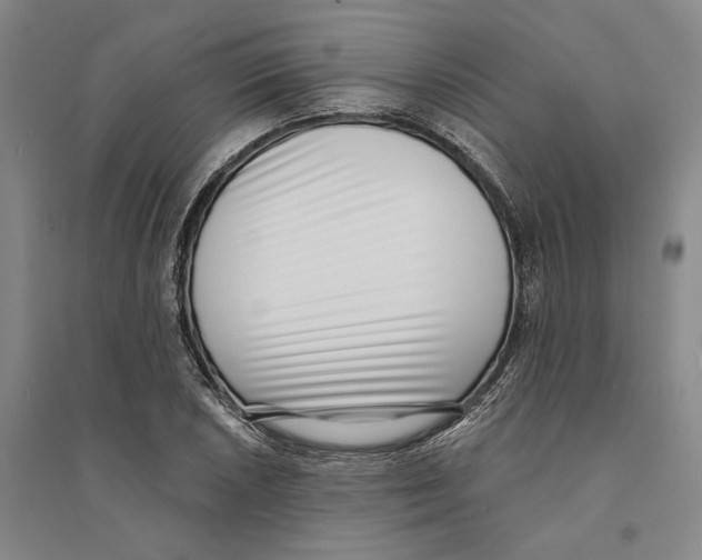 X0000094071026200711161542