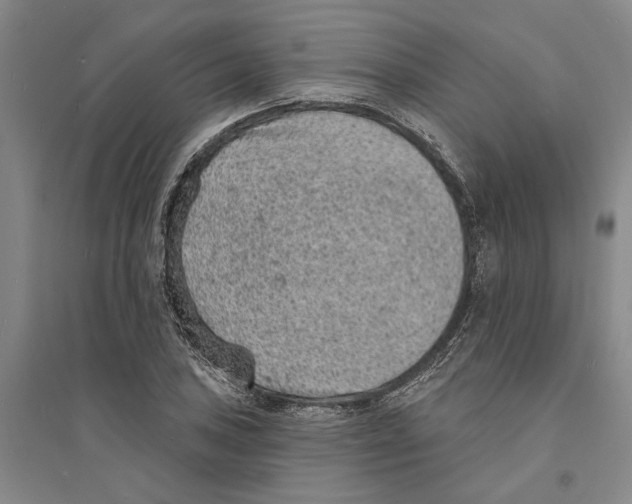 X0000094071027200711161542