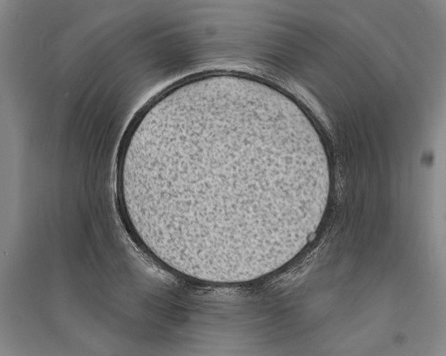 X0000094071028200711161542