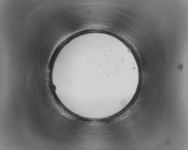 X0000094071029200711161542