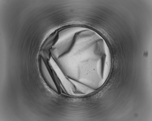 X0000094071030200711161542