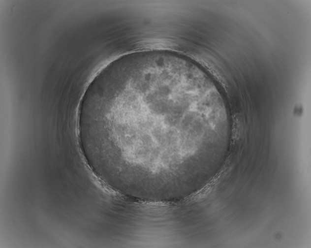 X0000094071031200711161542