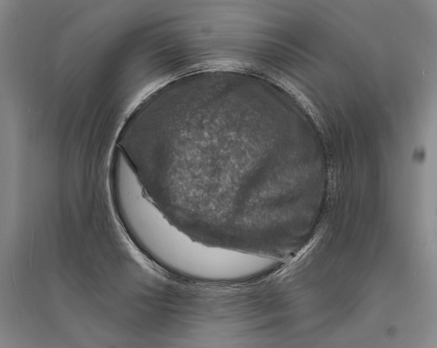 X0000094071034200711161542