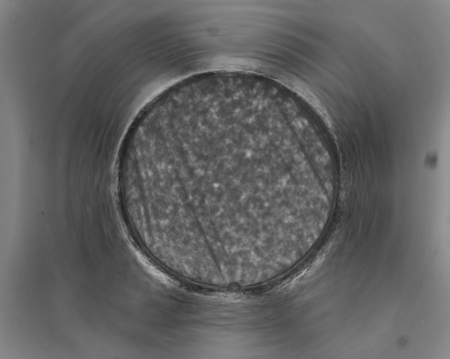 X0000094071037200711161542
