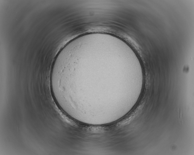 X0000094071041200711161543