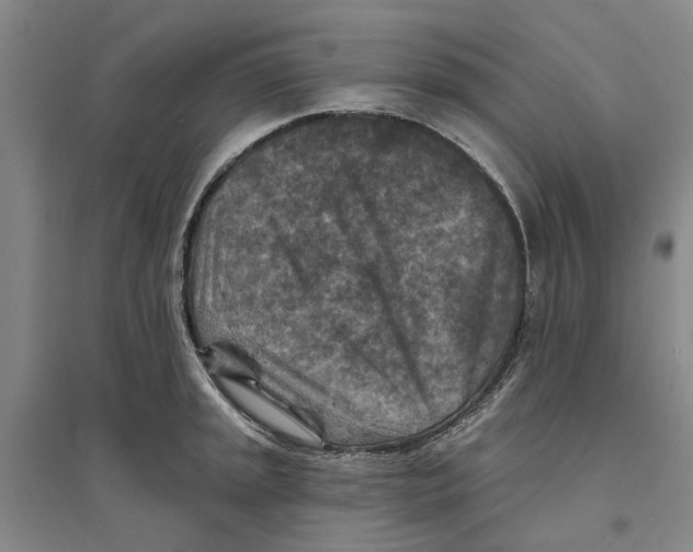 X0000094071045200711161543