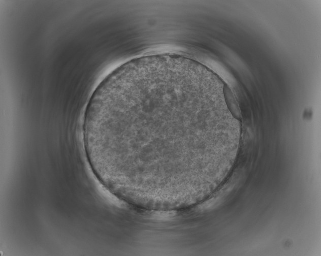 X0000094071055200711161543
