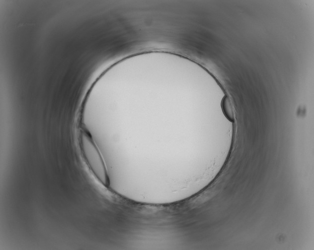 X0000094071056200711161543