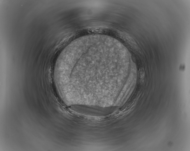 X0000094071060200711161542