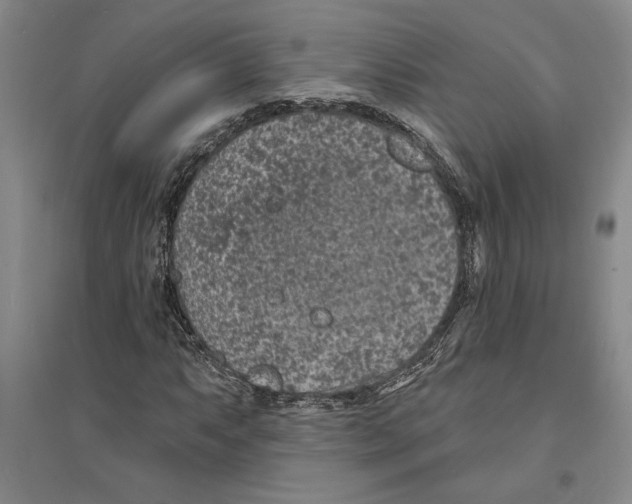 X0000094071063200711161542