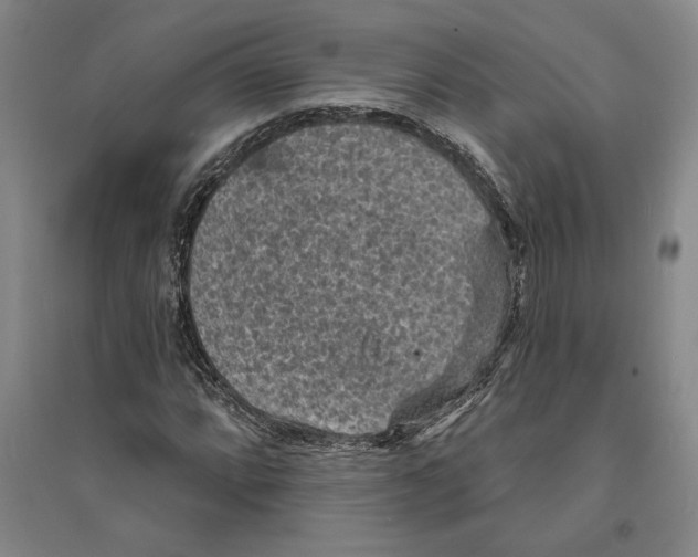 X0000094071064200711161542